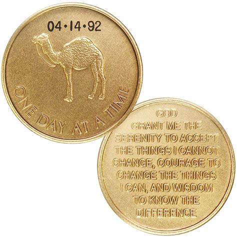Personalized Custom Engraved - Camel One Day at A Time - Bronze AA ...