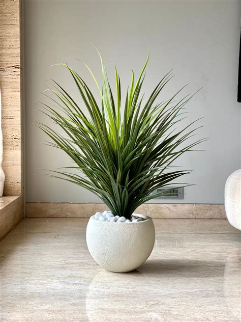 Plants & Planters – Mason Home by Amarsons - Lifestyle & Decor