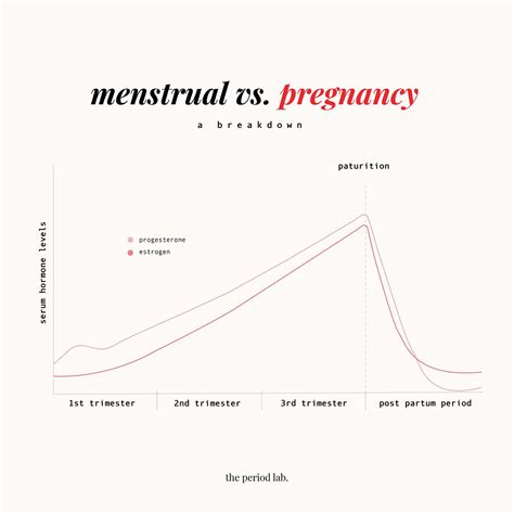 Hormone Levels During Pregnancy