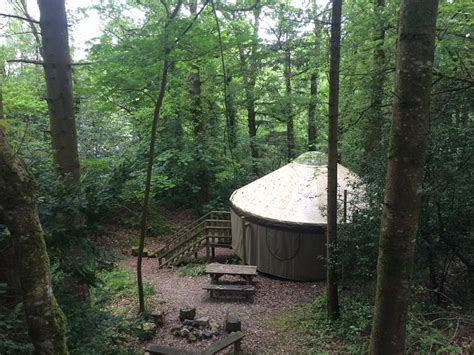 YURTCAMP GLAMPING DEVON (Liverton) - Campground Reviews & Photos ...