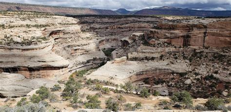 Loop Trail 的图像结果