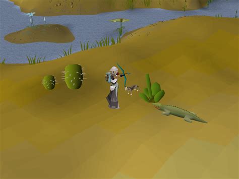 Crocodile - OSRS Wiki