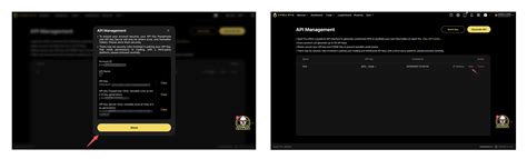 Image result for How to Apply API in Apex