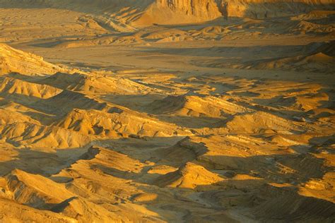 Sinaï : des combattants du Hamas auraient aidé Daesh