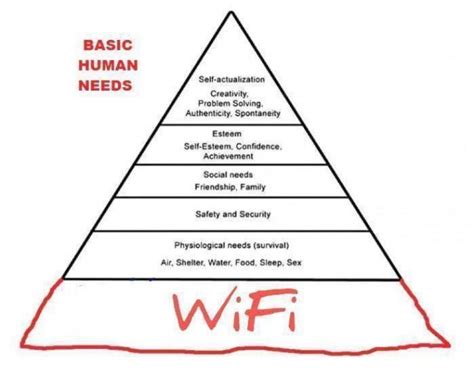 Image result for Java Tutorial Free Code Camp