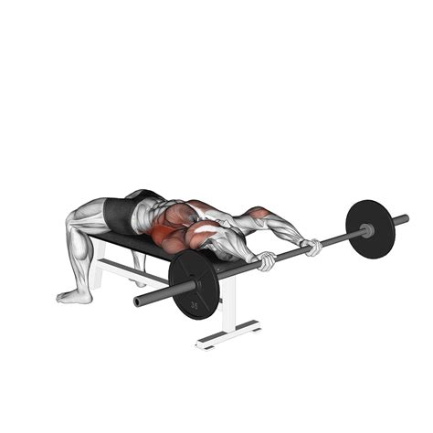 Pullover Exercise Chest