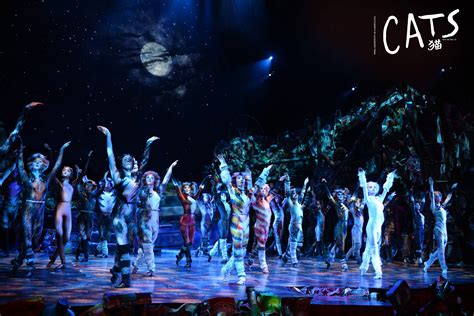 Buy Cats the Musical Stage Tickets Beijing