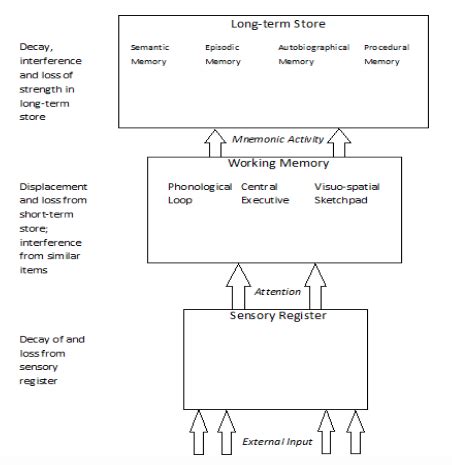 Process Information 的图像结果