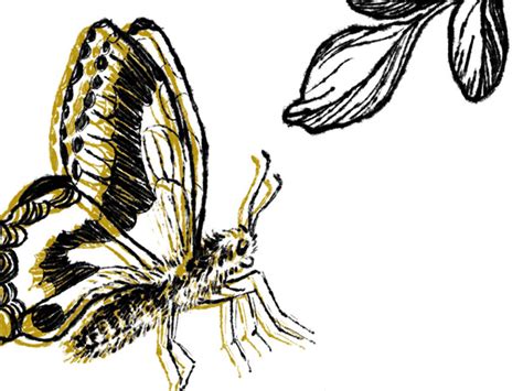 Image result for Design Pattern Project