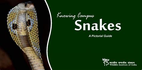 Release of Snakes Pictorial Guide | Wildlife Institute of India, an ...