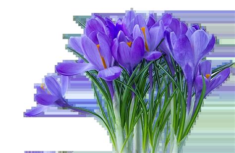 Signs of Spring EYFS 的图像结果