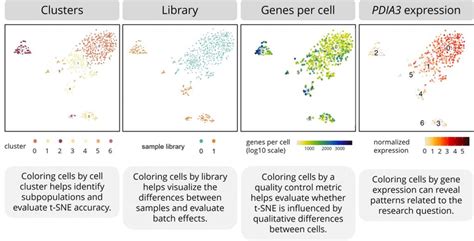 t-SNE - Visualizing High-Dimensional Data in 2D and 3D