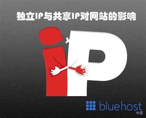 独立IP与共享IP对网站的影响 | Bluehost中文官方博客