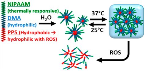 Polymeric Hydrogels as Technology Platform for Drug Delivery Applications