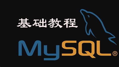 [程序员小飞]2021年MySQL基础教程，半小时学会MySQL | 全网最新最易东，2倍速享用味道更佳 - YouTube