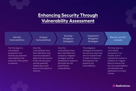 Vulnerabilities Assessment 的图像结果