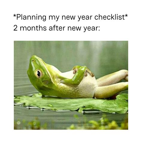 New Year Plan Memes Sabhke New Year Plans Nahi Hote, Laxman" Creds