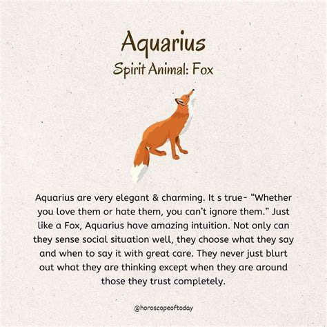 Aquarius Zodiac Sign and Spirit Animal Fox Poem