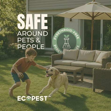 ECOPEST Mite Spray – Natural Killer for Dust, Bird, Spider India | Ubuy