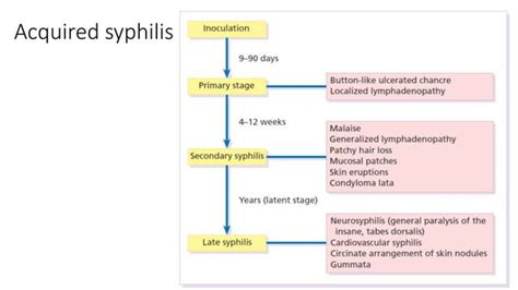 Image result for Syphilis Testing Algorithm