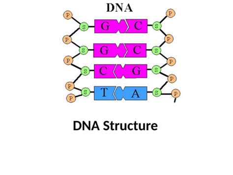 Image result for DNA Microarray Data