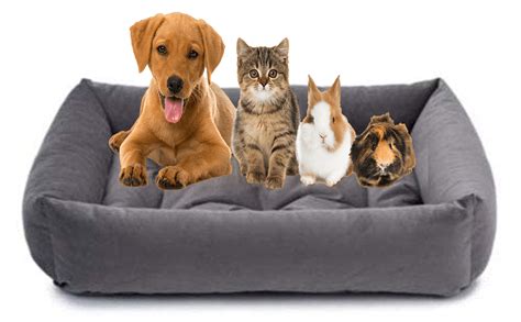 Slatters Be Royal Store Reversible Dual Ultra Soft Velvet Luxury Sofa ...