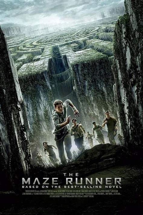 Image result for Maze Runner Explained