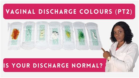 Normal Vaginal Discharge 的图像结果