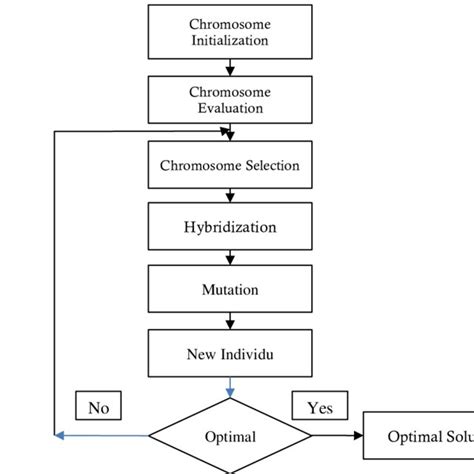 Image result for Genetics Algorithm Visualization