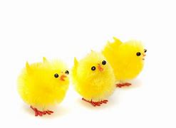 Image result for Baby Chick Easter Egg