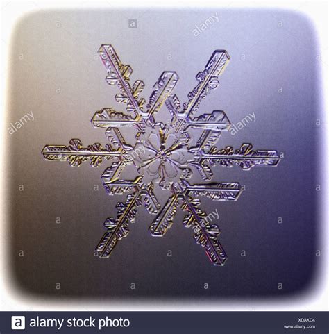 Snowflake Microscope Stock Photos & Snowflake Microscope Stock Images ...