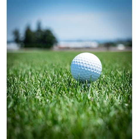 JB Instant Lawn JB Signature 25-lb Natural Perennial Ryegrass Grass ...