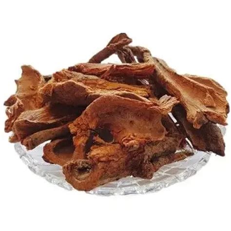 Rohida Bark, Cut - Tecomella undulata – TheWholesalerCo India