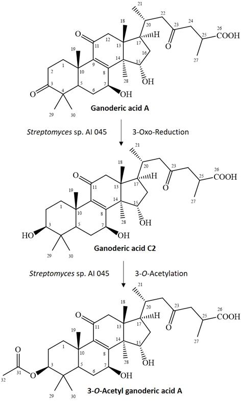 Biotransformation of Ganoderic Acid A to 3-O-Acetyl Ganoderic Acid A by ...