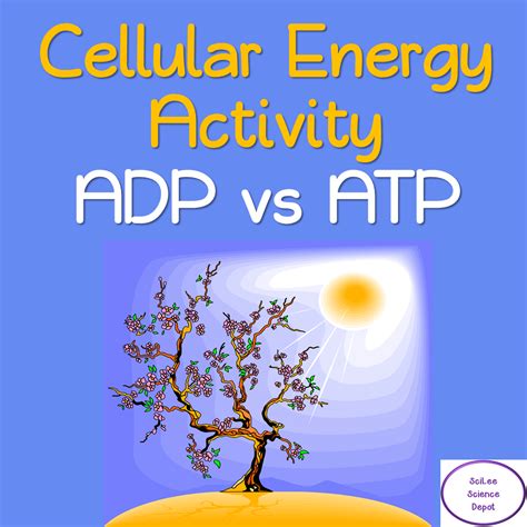 Cellular Energy- ADP vs. ATP Activity | Made By Teachers