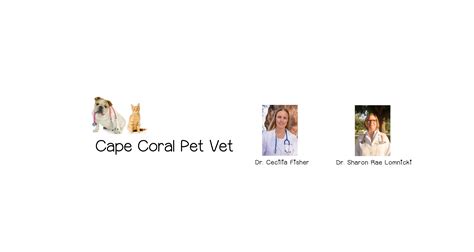 Cape Coral Pet Vet | LinkedIn