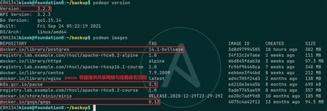 Podman RESTful API Python Example Code 的图像结果