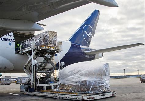 Lufthansa Cargo's most extraordinary transports in 2024