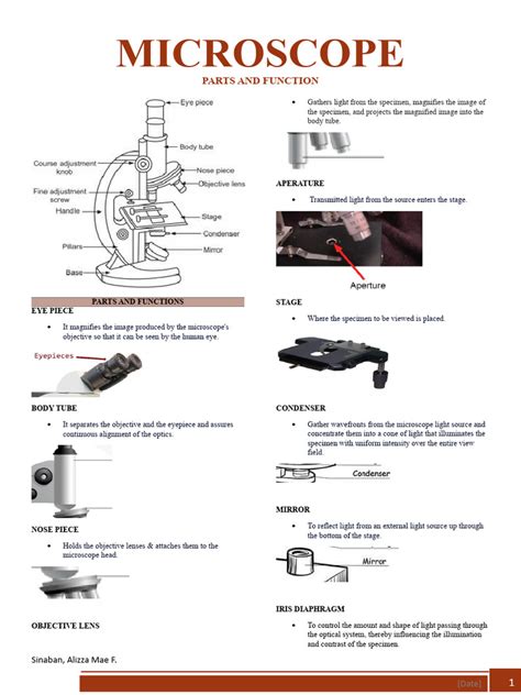 Image result for Function of Microscope