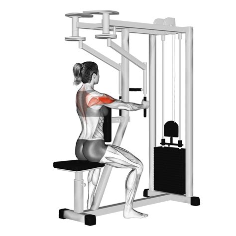 Pec Deck Machine Rear Delt Fly: Benefits, Muscles Worked, and More ...