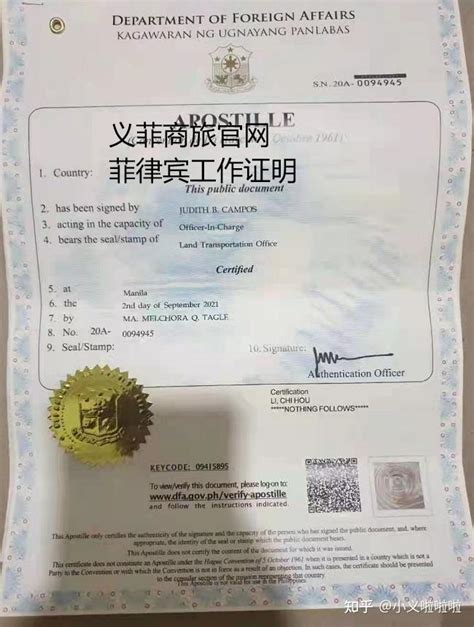 上海成人高考报名：工作证明模板-上海成考网-上海成人高考网
