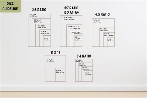 Image result for Basic Cell Structure Poster