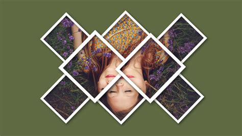 Image result for Collagerator Tutorial