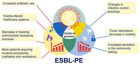 The Impact of COVID-19 Pandemic on ESBL-Producing Enterobacterales ...