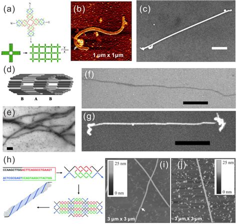 Metallic Nanostructures Based on DNA Nanoshapes
