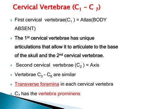 Anatomy of spine for spinal anaesthesia | PPTX