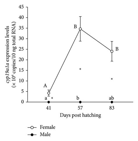 Decoding Dmrt1: Insights into vertebrate sex determination and gonadal sex differentiation