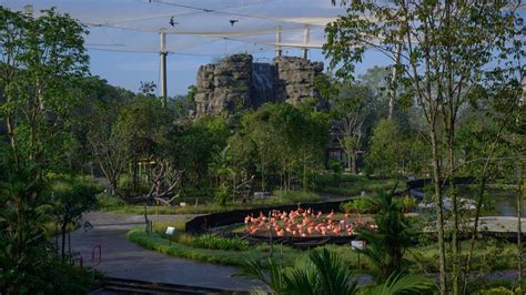 What We Know About The New Bird Paradise Park Opening In Singapore