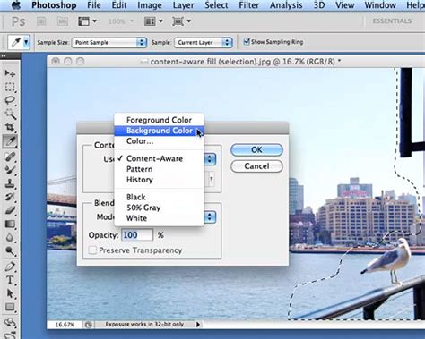 Image result for Adobe Contribute CS5 Tutorial