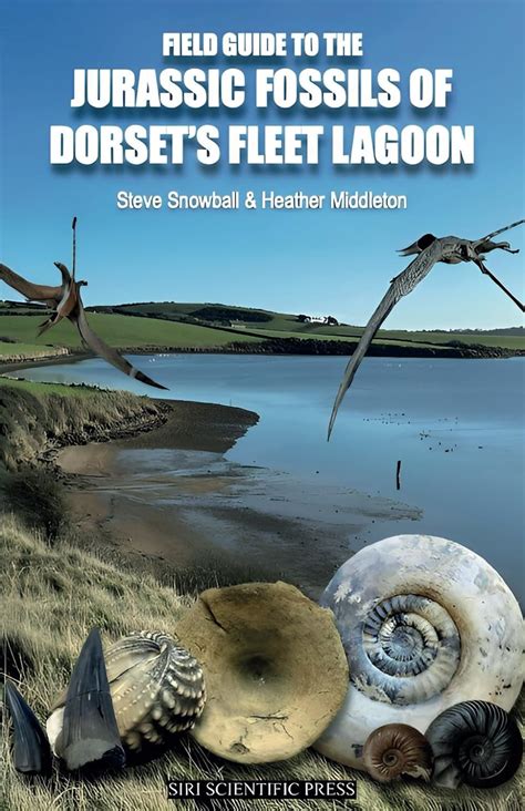 Field Guide to the Jurassic Fossils of Dorset's Fleet Lagoon : Amazon ...